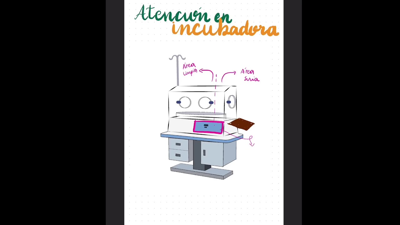Atención incubadora - Neonatología (Chile)