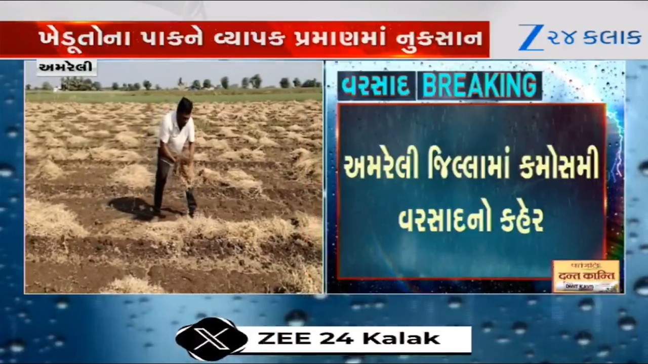 Amreli: Two Days of Unseasonal Rain Devastate Crops; Farmers, Laborers Demand Compensation