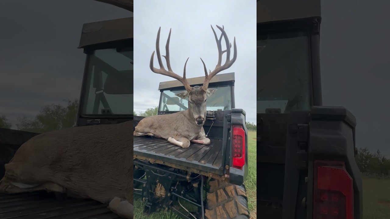 Now that&rsquo;s a Big 8! #whitetailbuck #hunting #deerhunting #deerseason