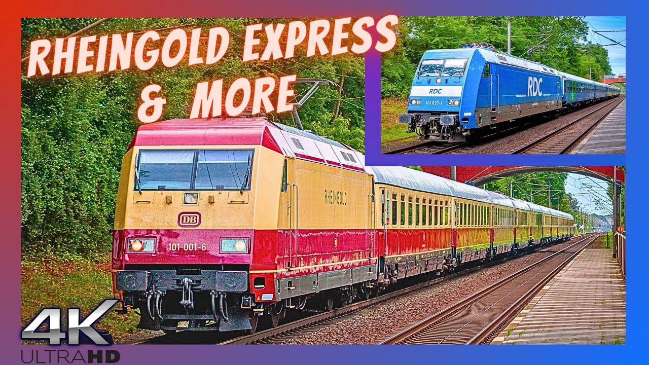 Speeding Trains and Diversity near Hamburg #trains #travel #railfan #trenuri