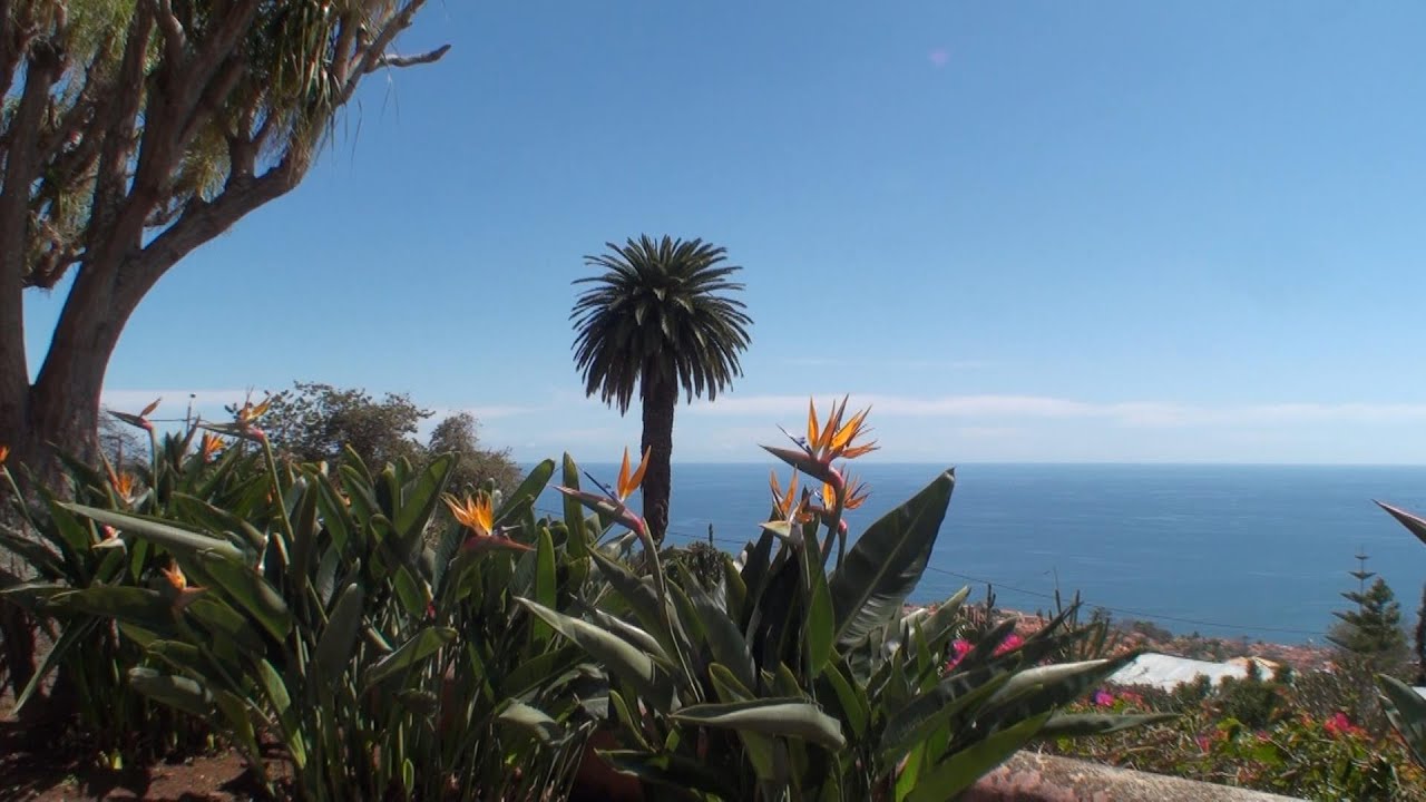 Madeira