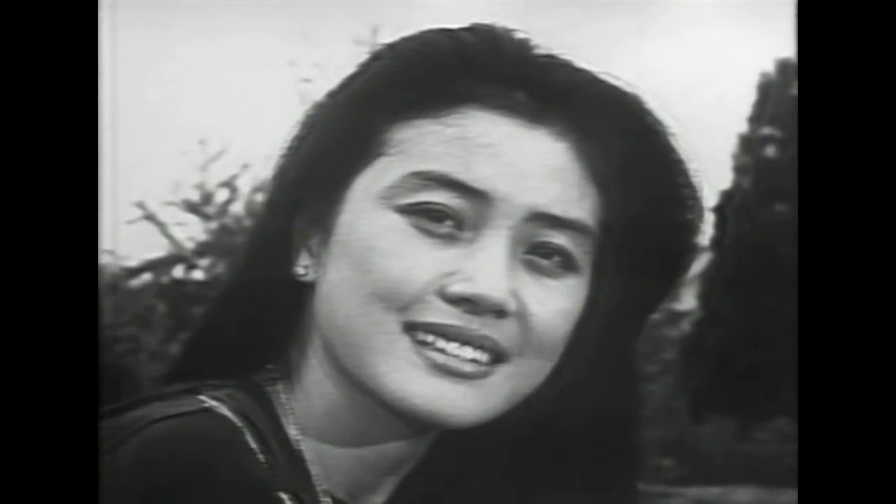 TBC 동양방송(현 BTN 불교TV) 금토드라마 아롱이 다롱이 OP (1980년 11월 30일)