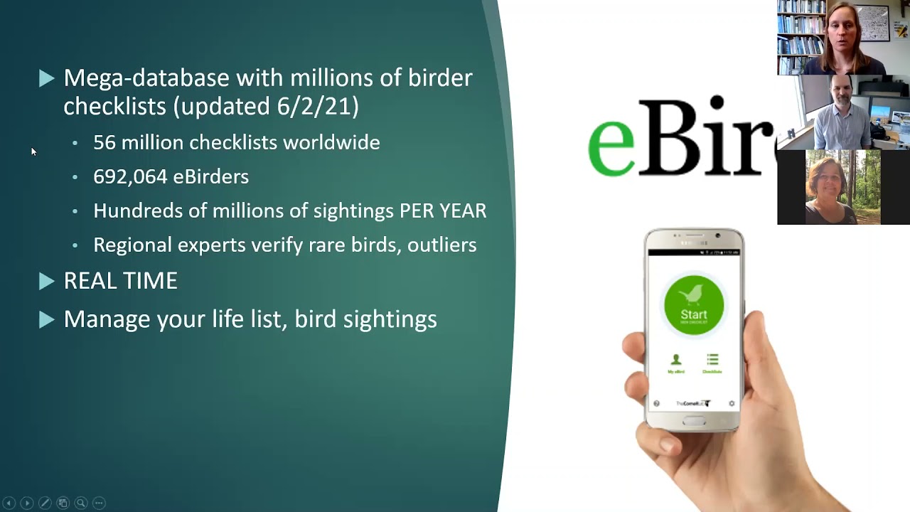 The Power of eBird: Relevancy through quantifying birders and birding- Part 1