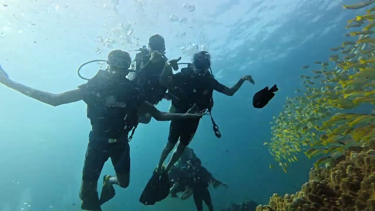 Scuba Diving at Phi Phi Island, Thailand