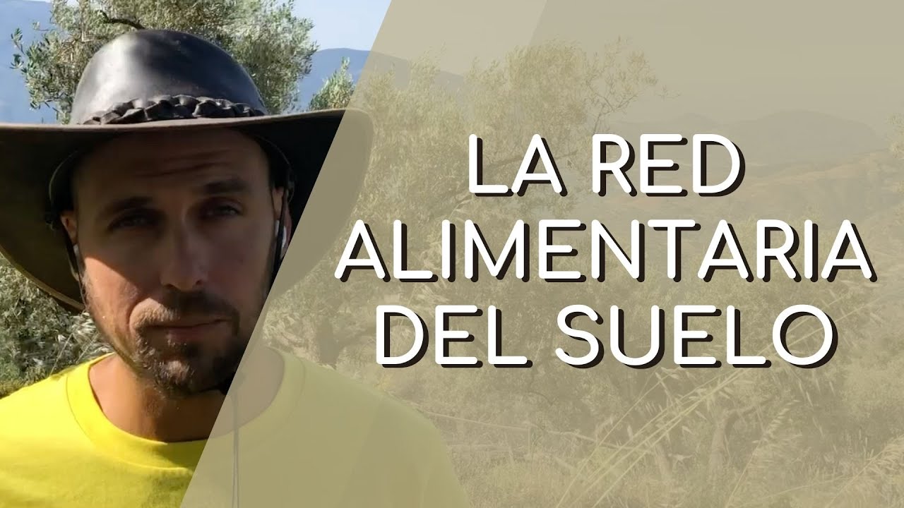 Red alimentaria del suelo 🐛 [Episodio 38] 🌱
