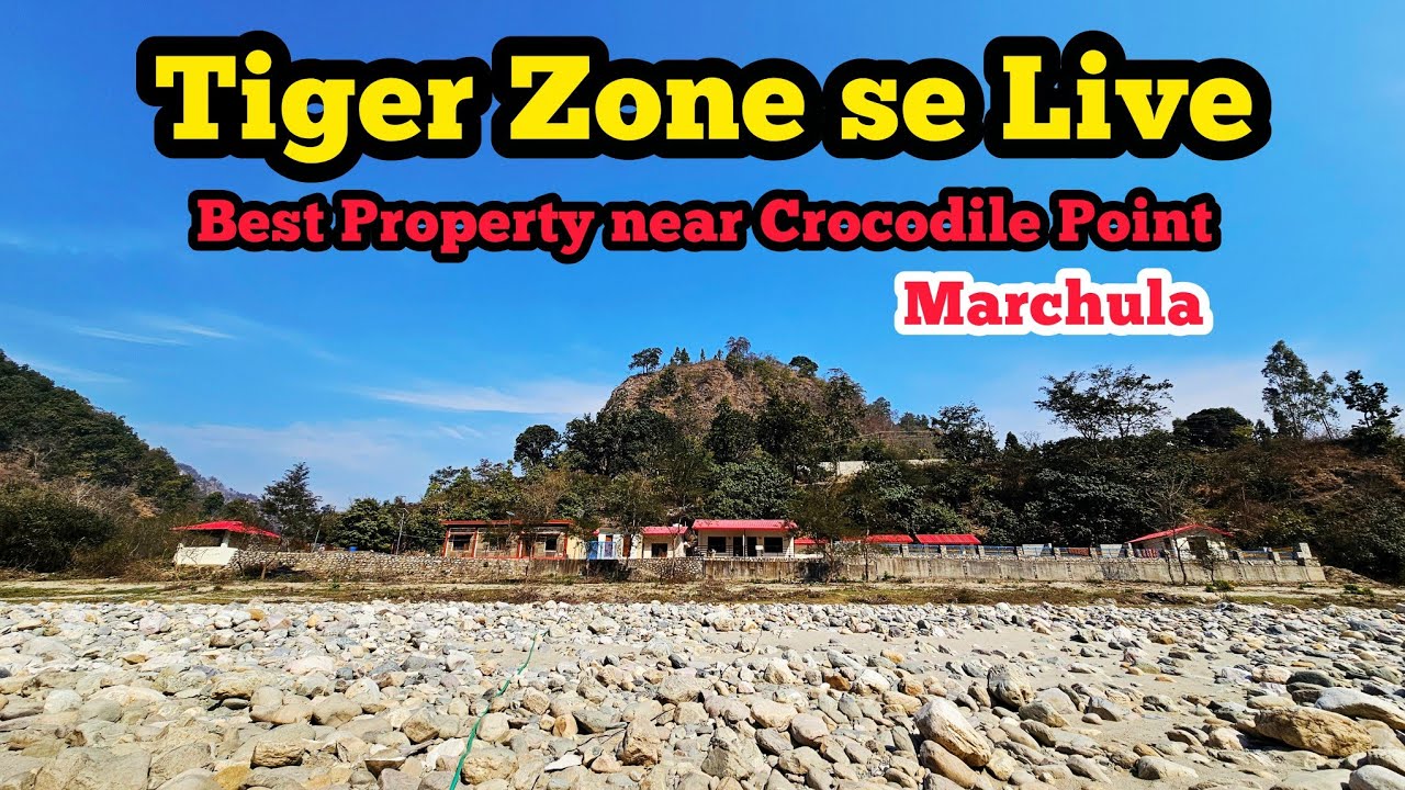 टाइगर ज़ोन के पास LIVE | मारचुला से जंगल का रियल सीन 🐅🌳 | The Wild Camps Marchula