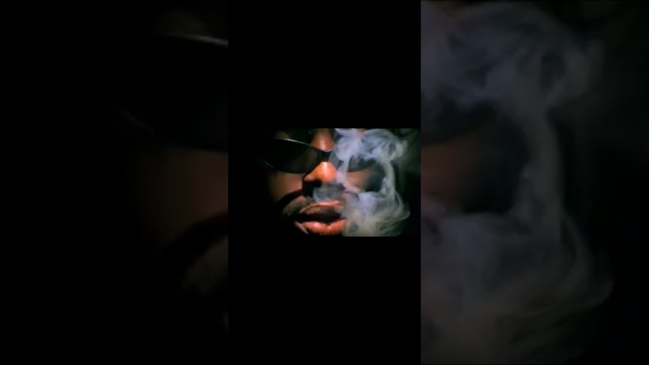 Coolio - Gangsta's Paradise - View Count History (30th Anniversary) #gangstasparadise #coolio