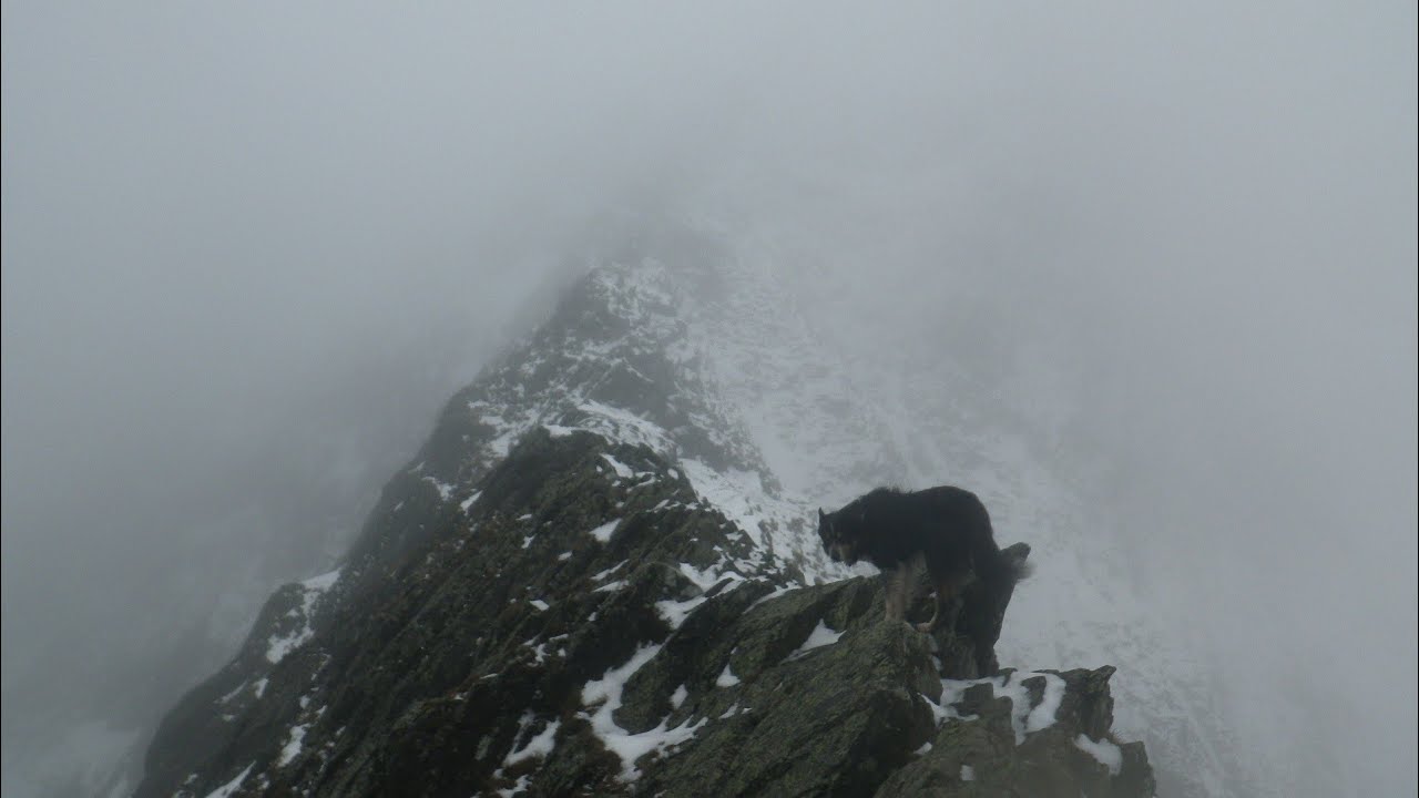 Sharp Edge, Blencathra, February 16th 2026