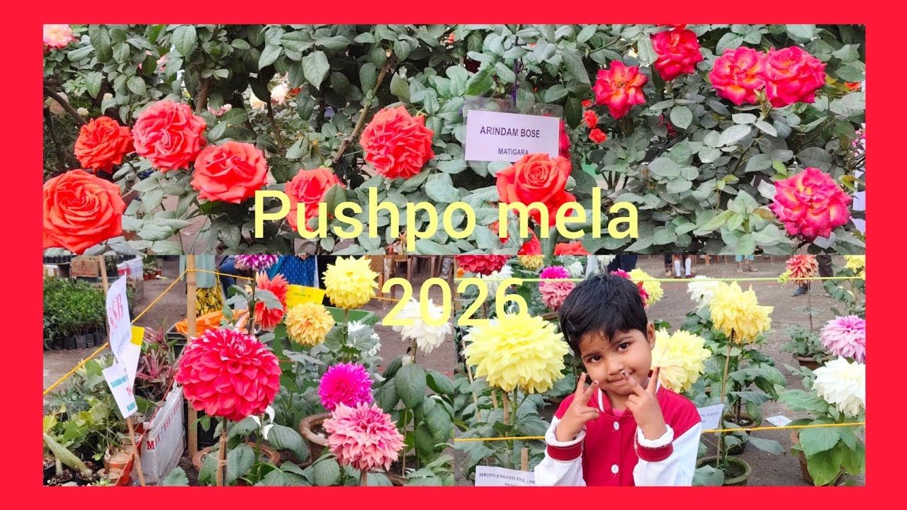 Pushpo mela #viralvideo #mela 