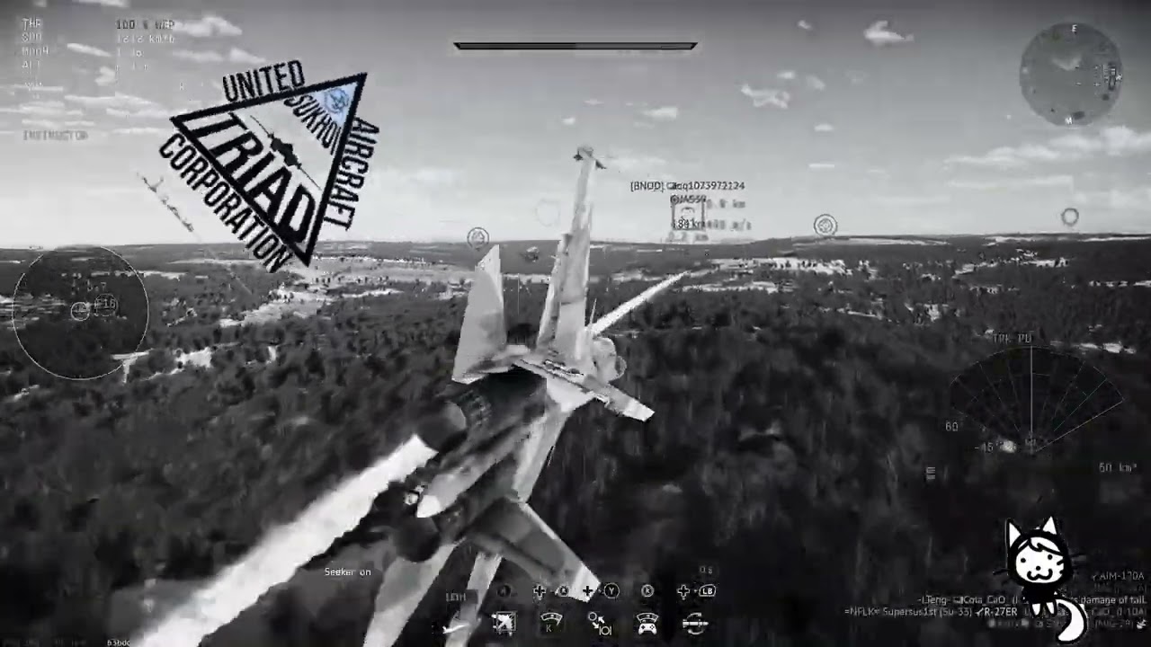 Sukhoi edit