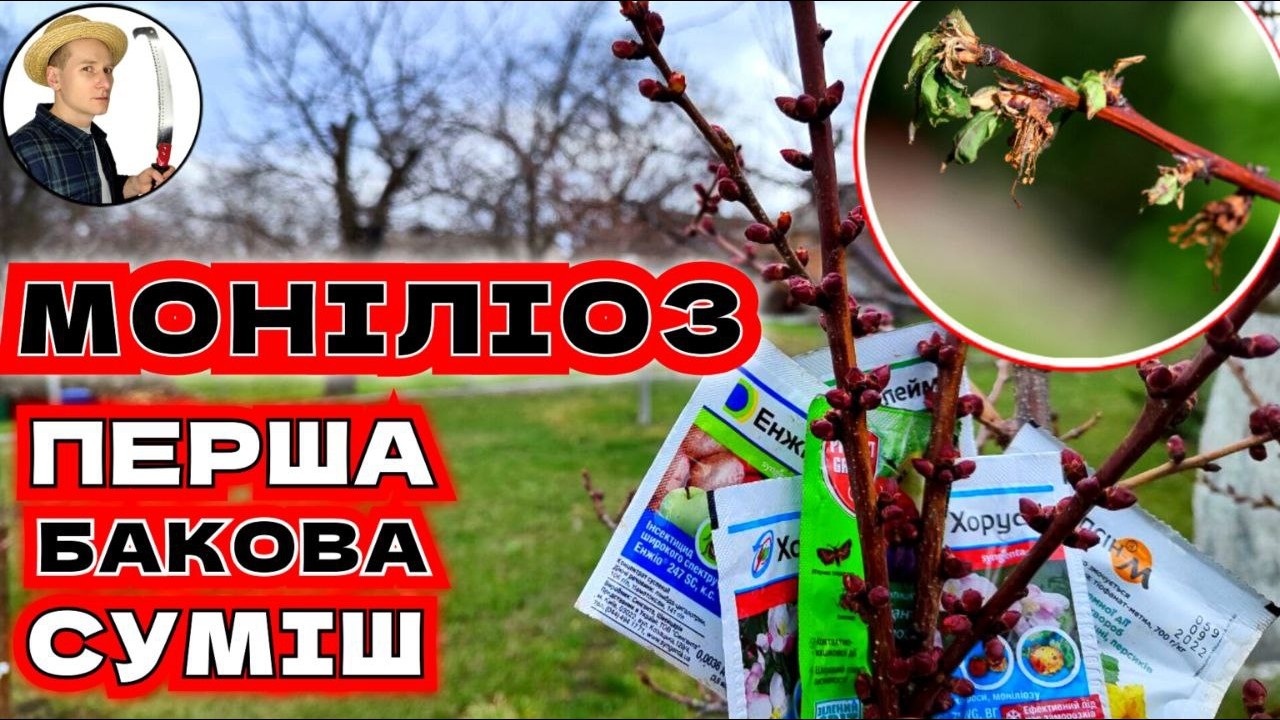 ВІД МОНІЛІОЗ! ПЕРША ОБРОБКА ВСЬОГО САДУ БЕРЕЗЕНЬ-КВІТЕНЬ. СХЕМА ПЕРЕВІРЕНА РОКАМИ  !!