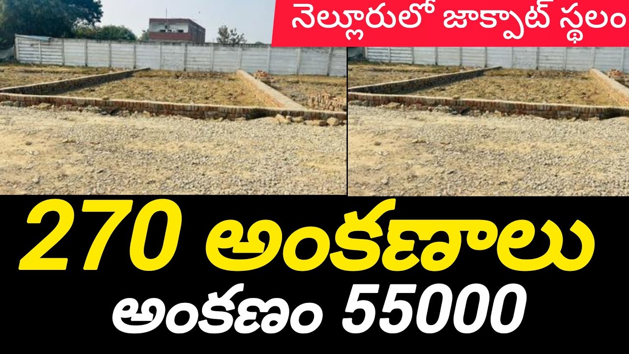 270 అంకణాలు స్థలం అంకణం 55000 మాత్రమే ఎవరైనా కావాలంటే కాల్ చేయండి #realestate #nellore 