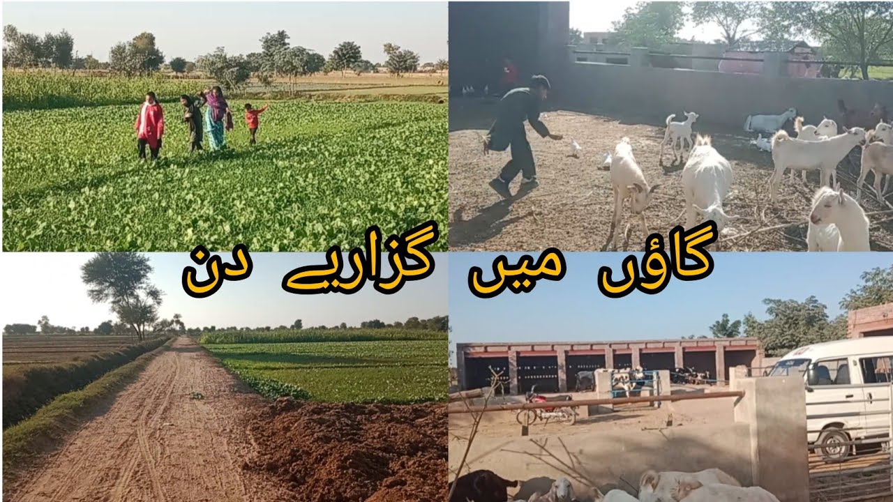 Breakfast routine in the village|village life Pakistan