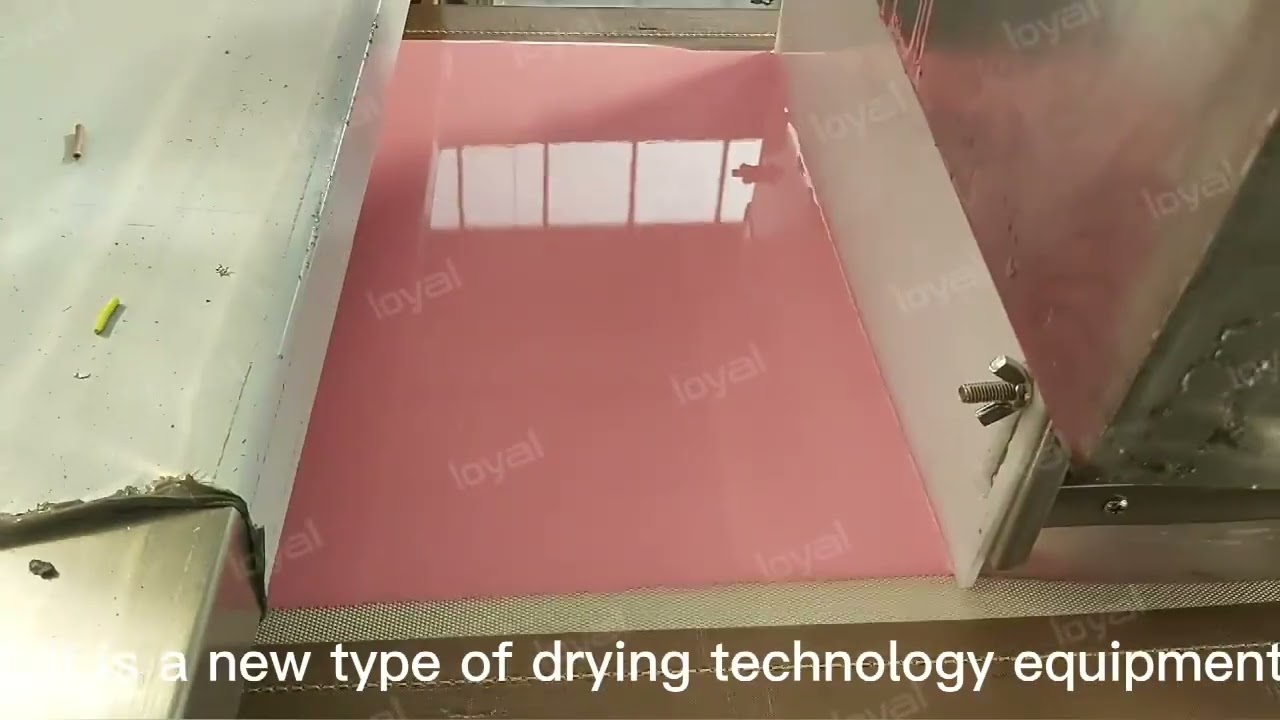 2022Newest Rubber Silica Gel Dryer/Microwave Rubber Tunnel Drying Machine/Rubber Dehydration Machine