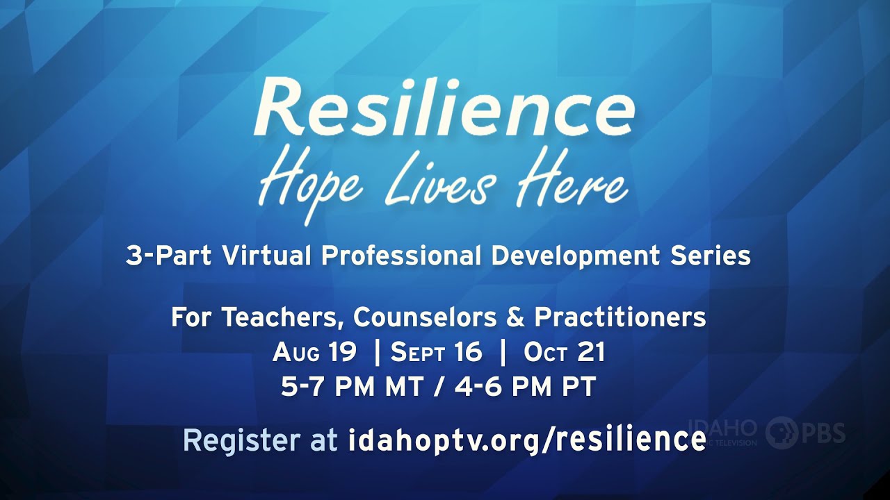 Professional Development Opportunity