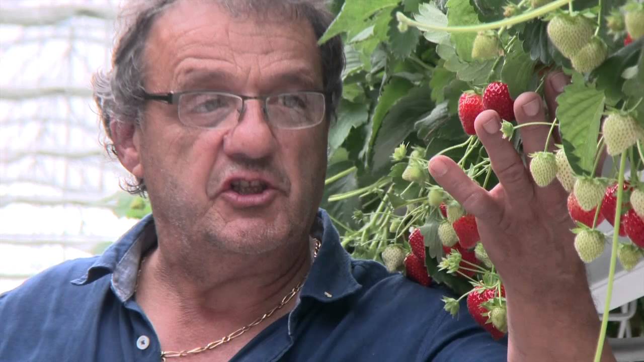 Fruidor Terroirs : La Fraise
