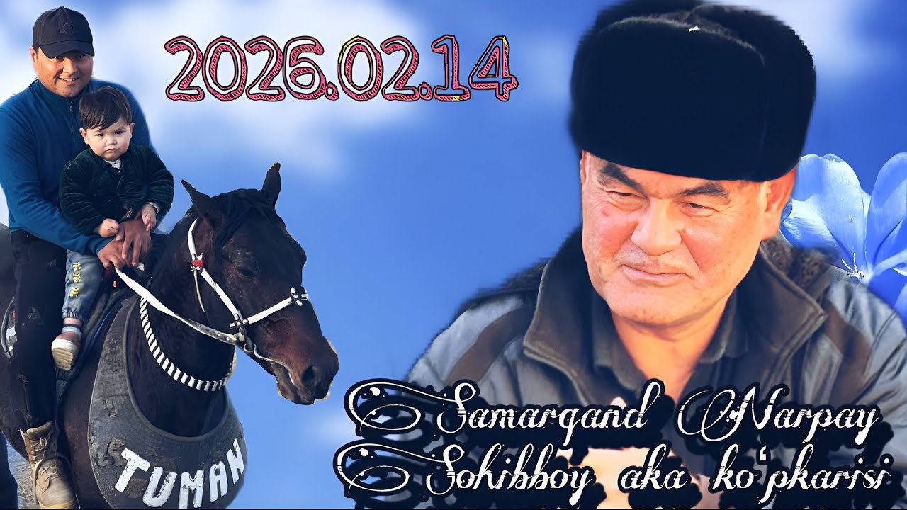 Samarqand Narpay “Tuman” ot egasi Sohib aka koʻpkarisi (Toʻliq qism) 4K, 2K, 1080 Hd Formatda 🇺🇿 