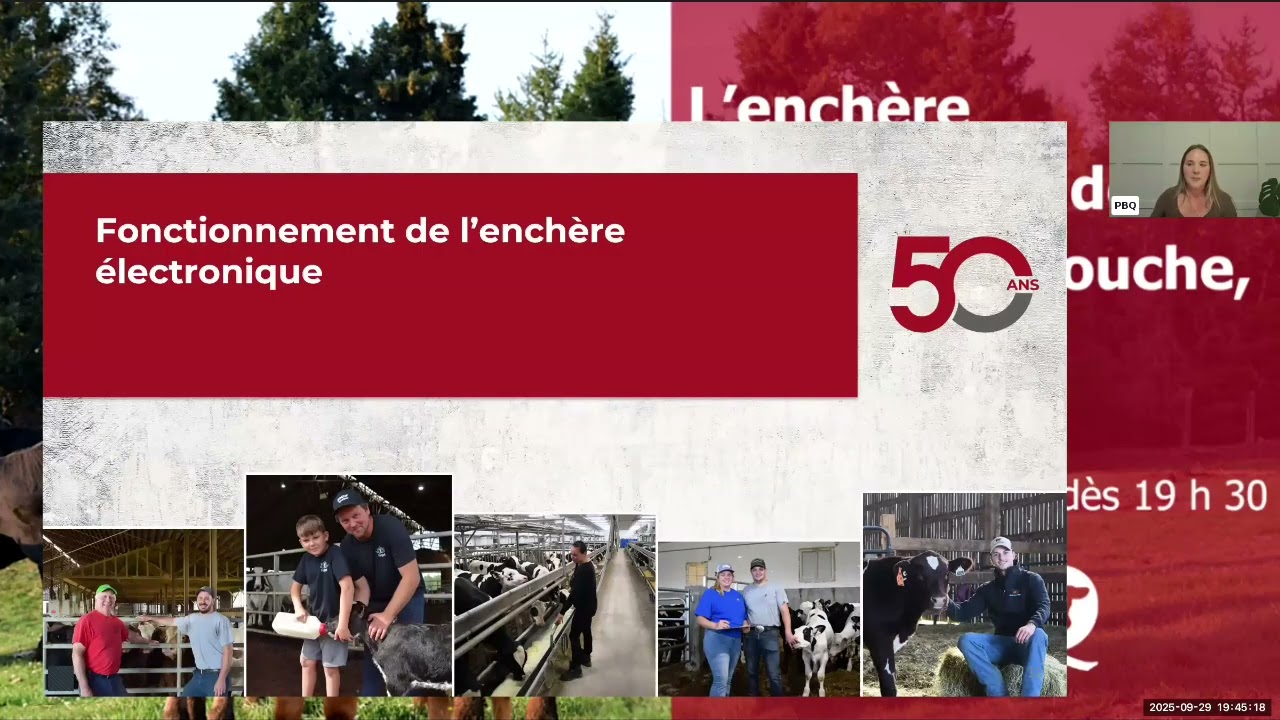 Webinaire   L’enchère électronique veaux d’embouche, comment ça marche