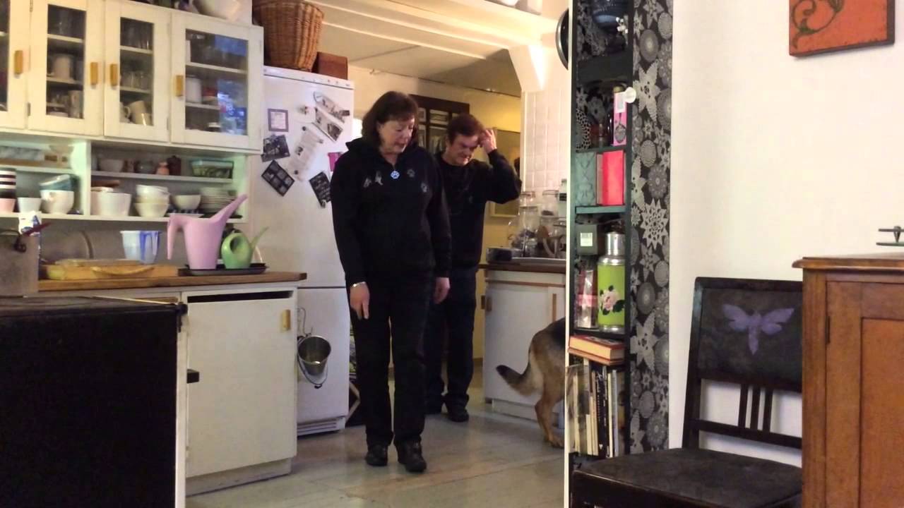 Homekoira työssään