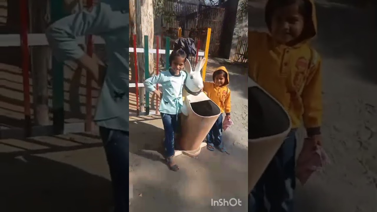 आज अचानक से हुआ था चिड़ियाघर जाने का प्लान#🥰😆#आज का मिनी ब्लॉक#मेरी फैमिली के साथ#🤟🏄#