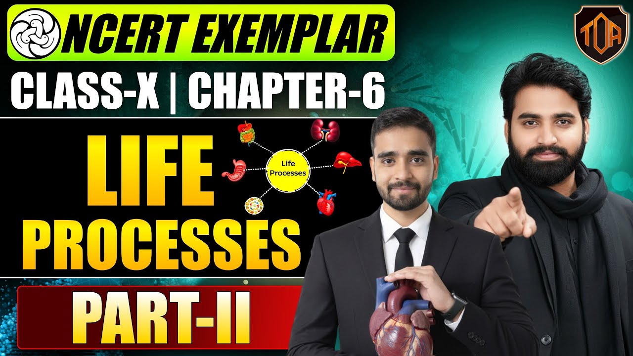 Life Processes – Class 10 | PART-02 | NCERT EXEMPLAR | #ncertscience #theofficersadda