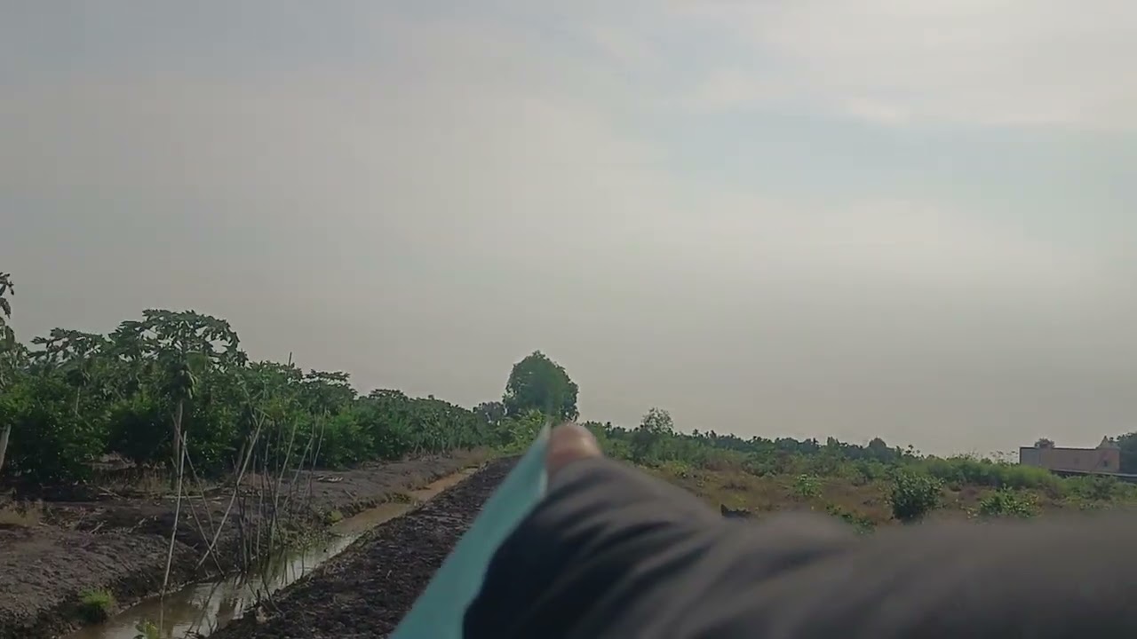 Ms 352 320triu 340triu 500mz đất vườn Sài Gòn 30km giá rẻ nhất khu vực lh0963915438