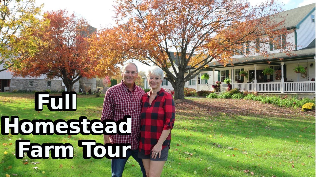 Journey Through Our 42-Acre Homestead | A Glimpse of Rural Living!