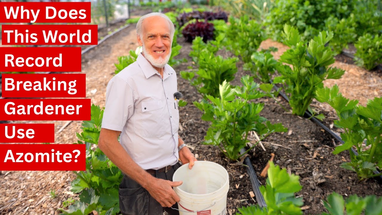 Add Azomite to Your Garden… Will It Grow Better Food?