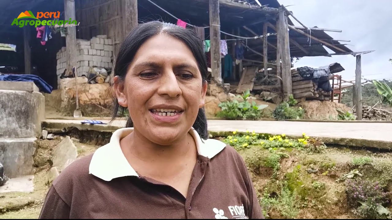CONOCIENDO EL MEJOR CAFÉ DEL PERÚ,GANADORA DE TAZA DE EXCELENCIA 2019
