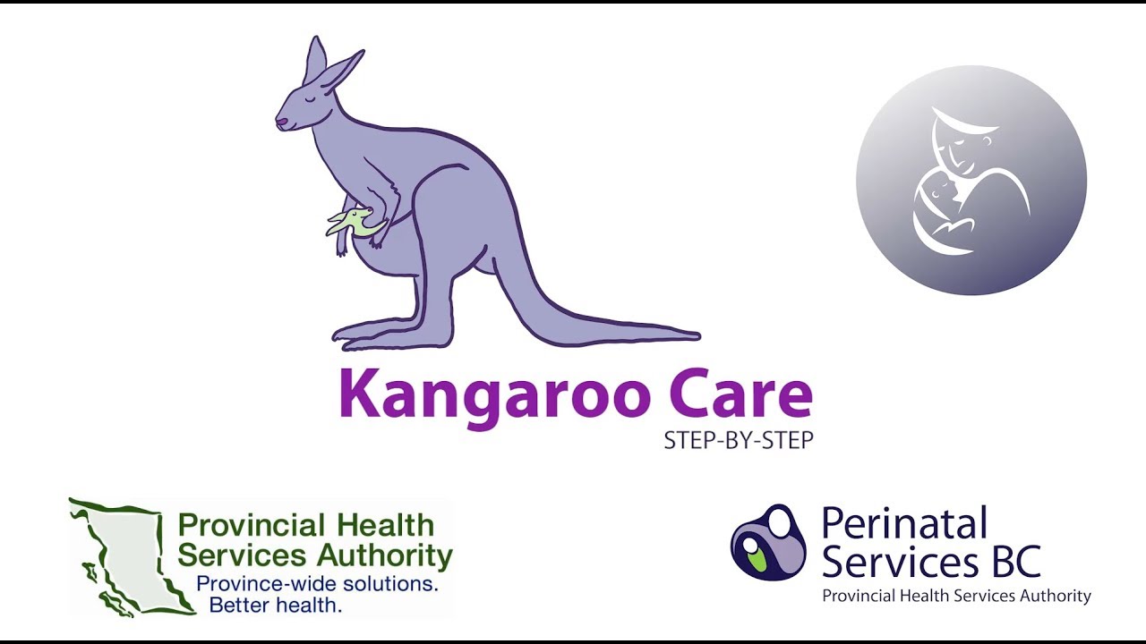 Kangaroo Care Step by Step