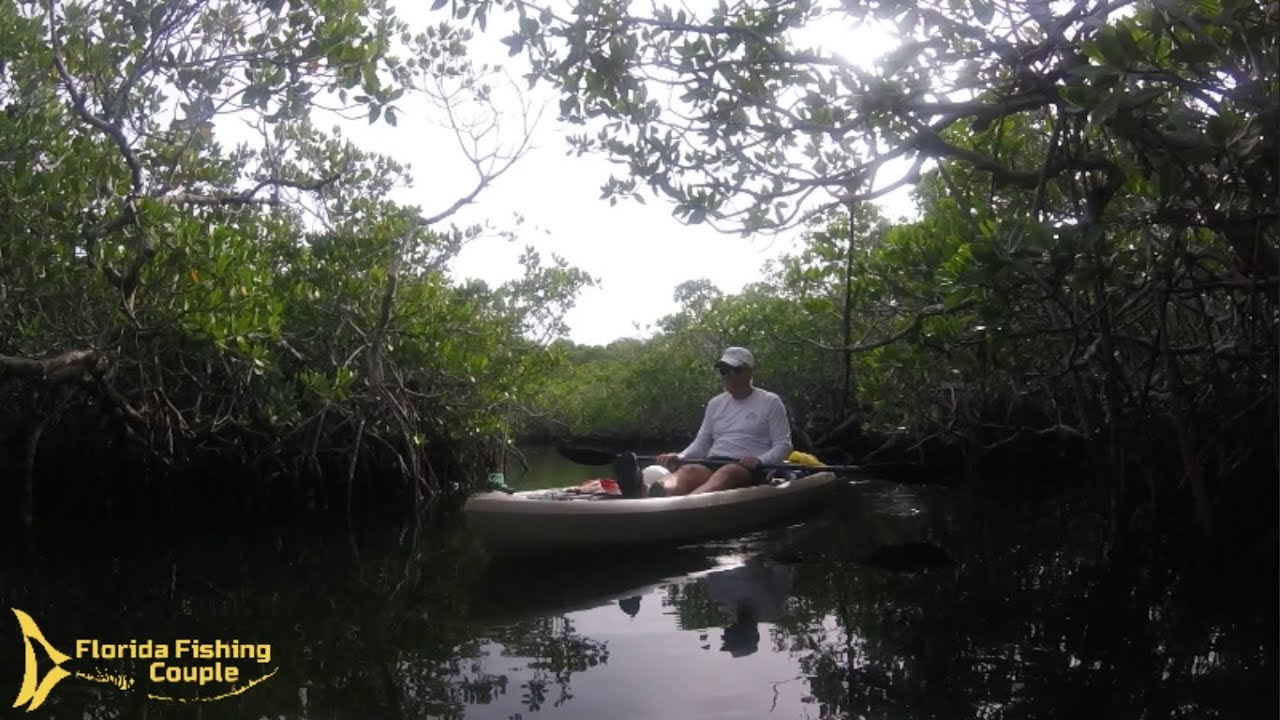 Windy Day Kayaking and Lobstering in John Pennekamp State Park Key Largo