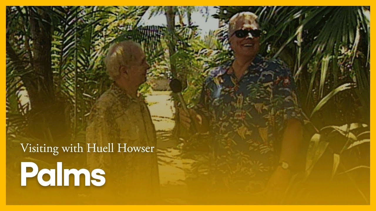 Palms | Visiting with Huell Howser | PBS SoCal
