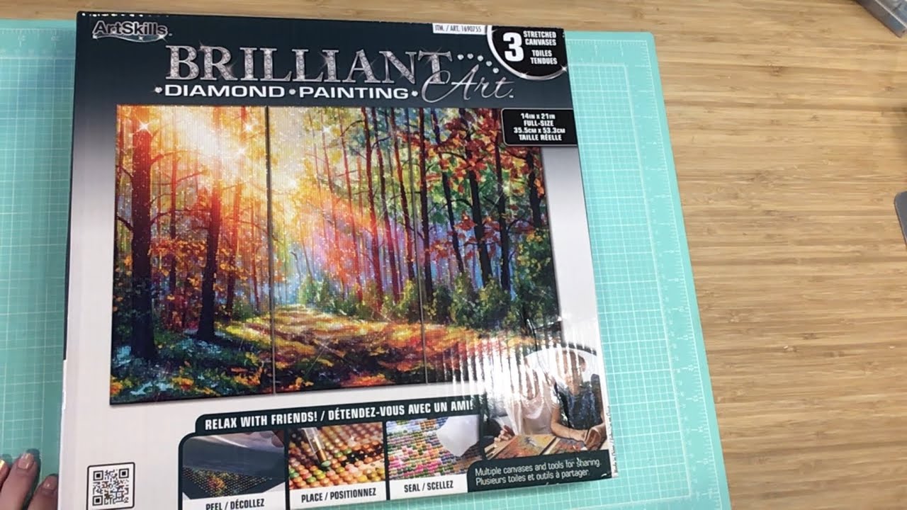 Diamond painting from Costco