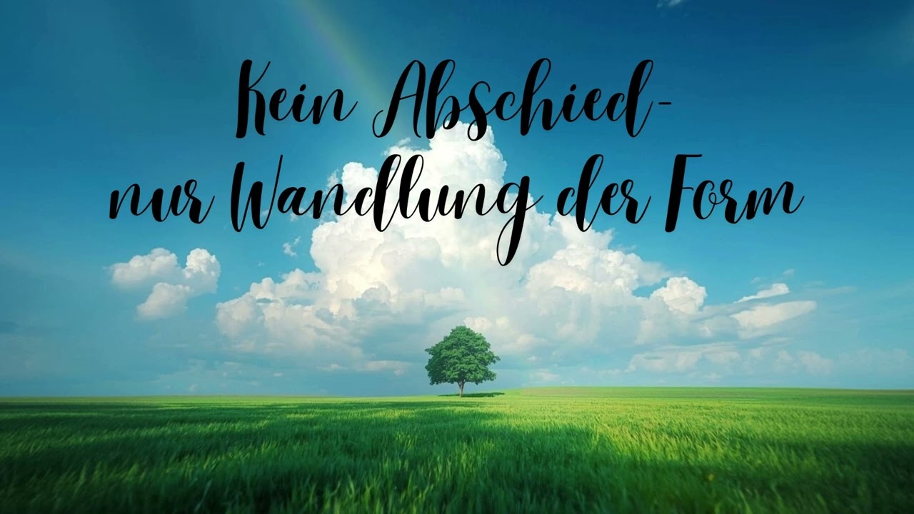 Kein Abschied Nur Wandlung - ein transformierender Song zur Umwandlung der Trauer