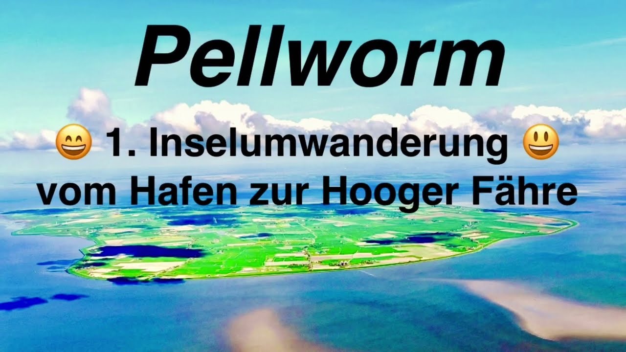 😃 PELLWORM 😃 Inselumwanderung 1/2 - 16. Juni 2024