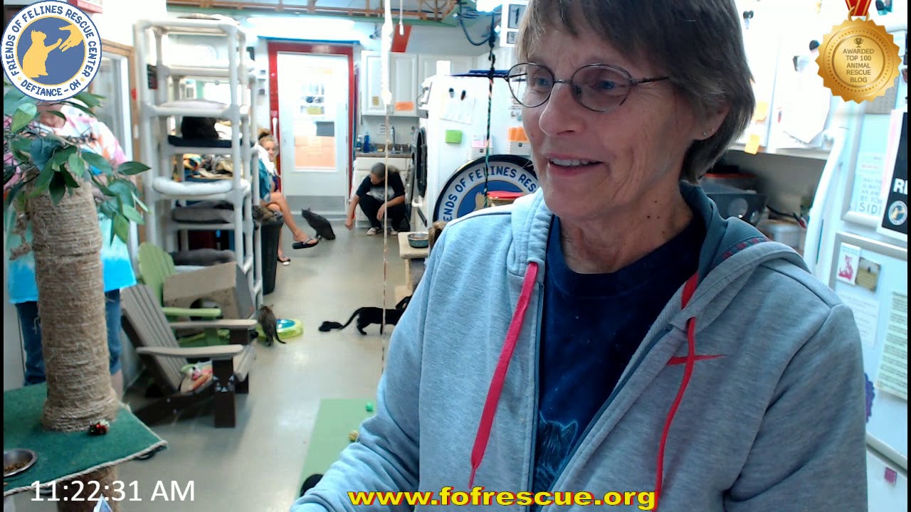 FFRC Adoption of Marilyn 09-23-2018