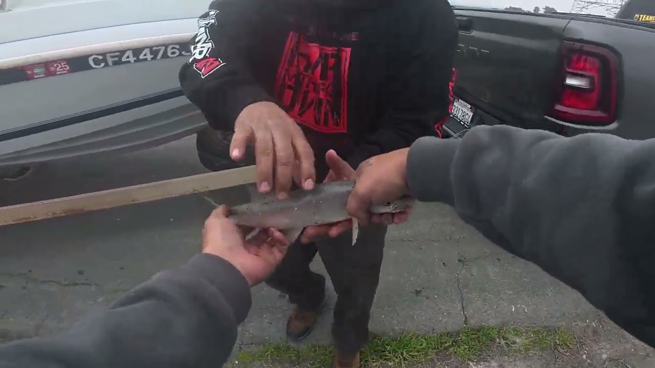 Meeting Subscriber While Fishing Sherman Island