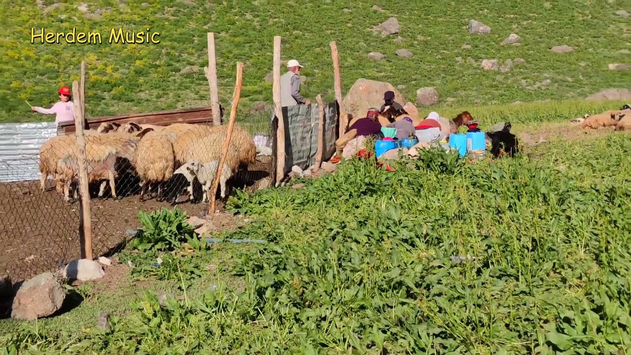Hozan Heval - Were Lé Lé - Stranên Kurdî