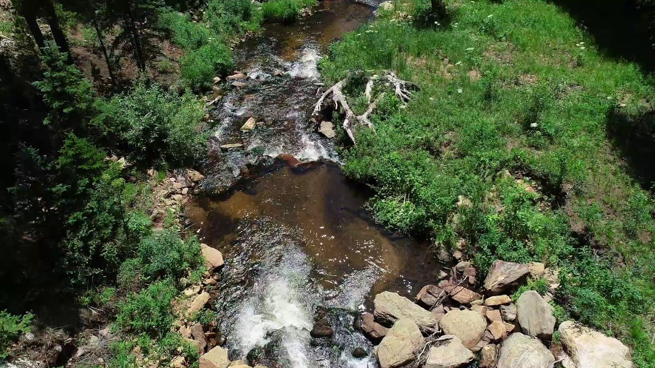 Bear Gulch Ranch | Allenspark