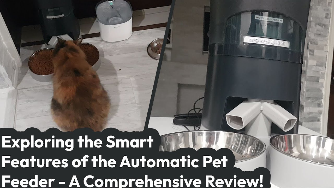 HoneyGuaridan 6.5L Automatic Pet Feeder for Two Cats Dogs - Cat Feeder Review