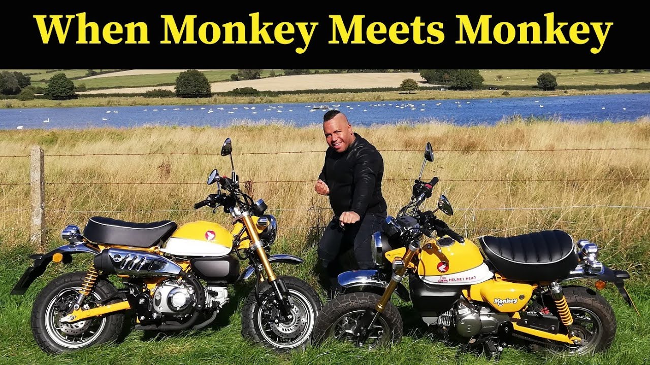 Honda Monkey Bike Meets Honda Monkey Bike And Then We Monkey Around 👉 Monkey Bike Ride Must Watch!