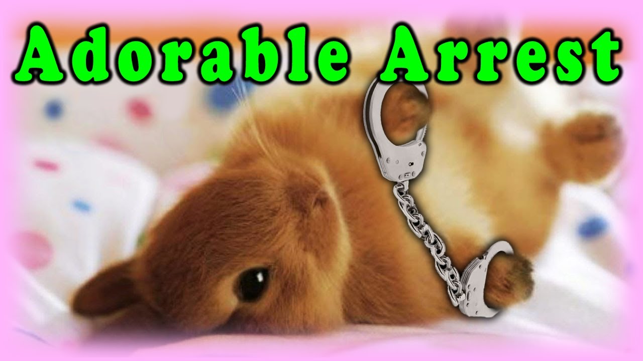 Norwegian Police Use Love Against a 