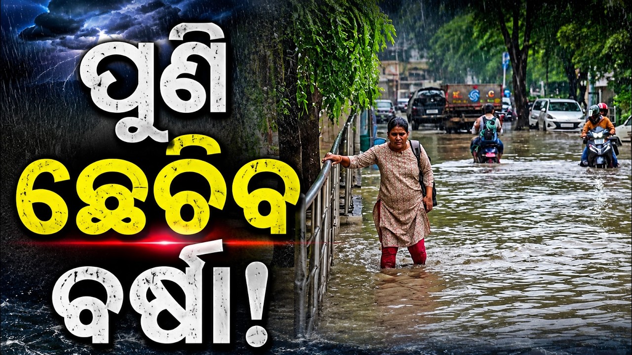 Odisha Weather Update: Heavy Rain Likely Again | IMD Issues Fresh Rain Alert
