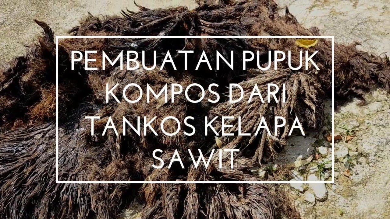 Pembuatan pupuk kompos asal Tandan Kosong Kelapa Sawit