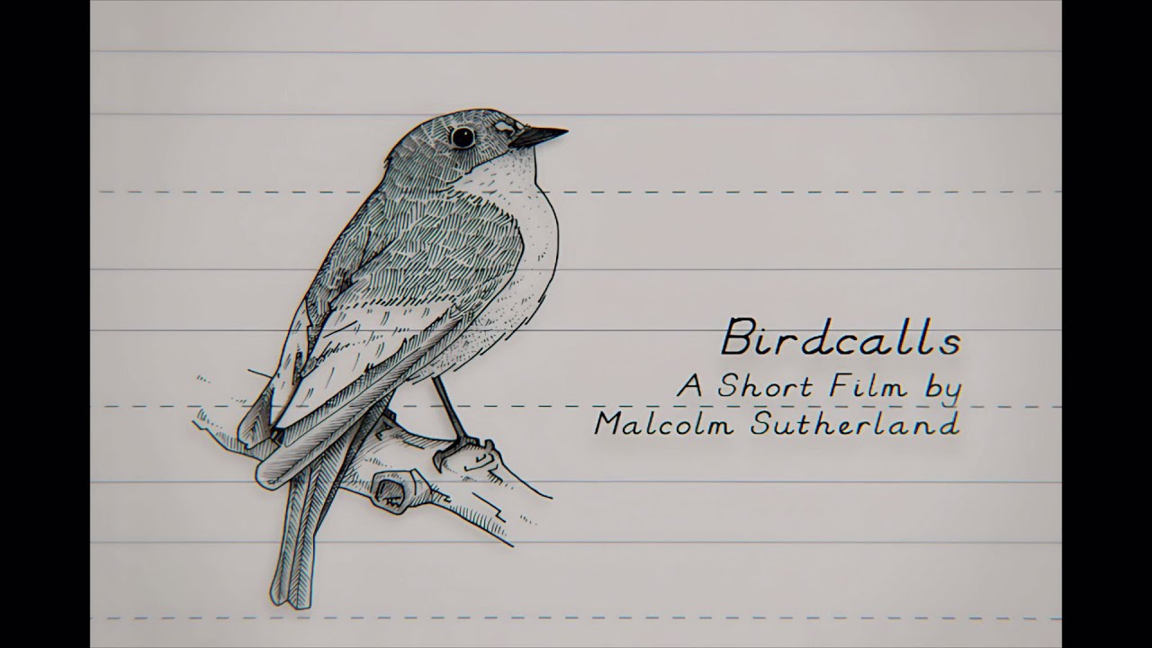 Birdcalls (2025 Remaster)