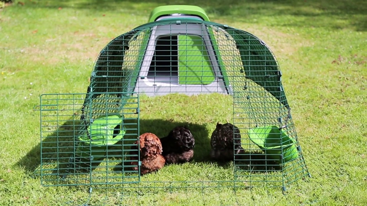 Kippenhok Eglu Go van Omlet (anti bloedluis) | Omlet Huisdieren