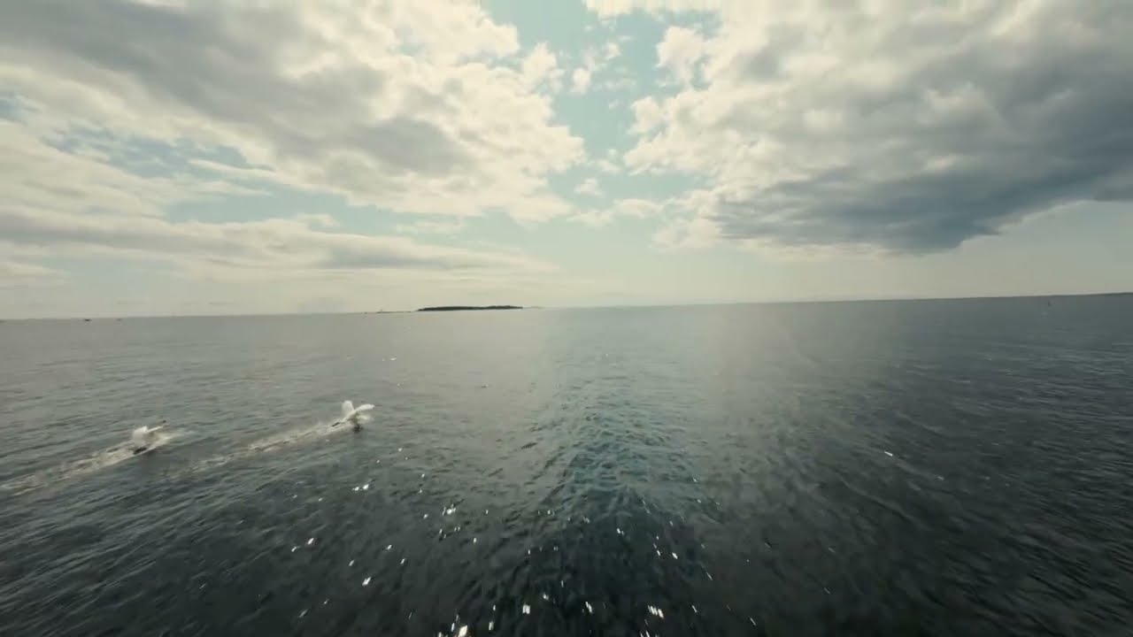 Breathtaking Archipelago of the Eastern Gulf of Finland