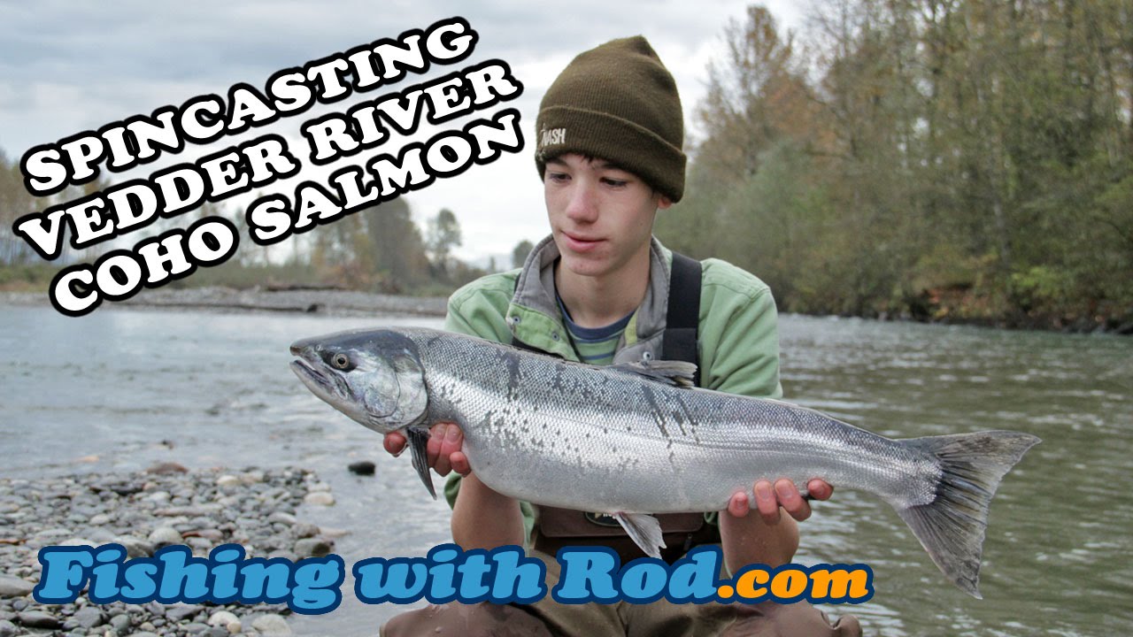 FIRST LIGHT BITE! SPINCASTING FOR VEDDER RIVER COHO SALMON | Fishing with Rod