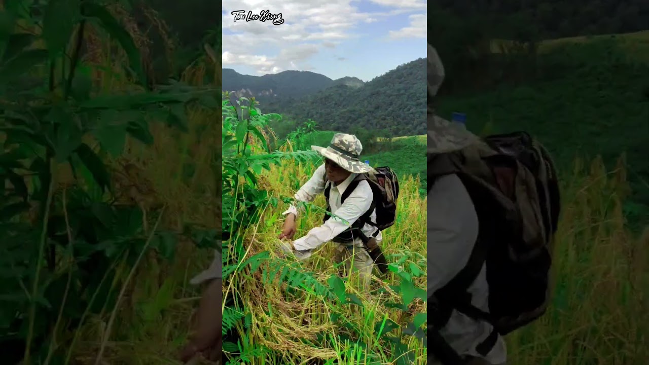 Cov Neeg Ua YouTube Os