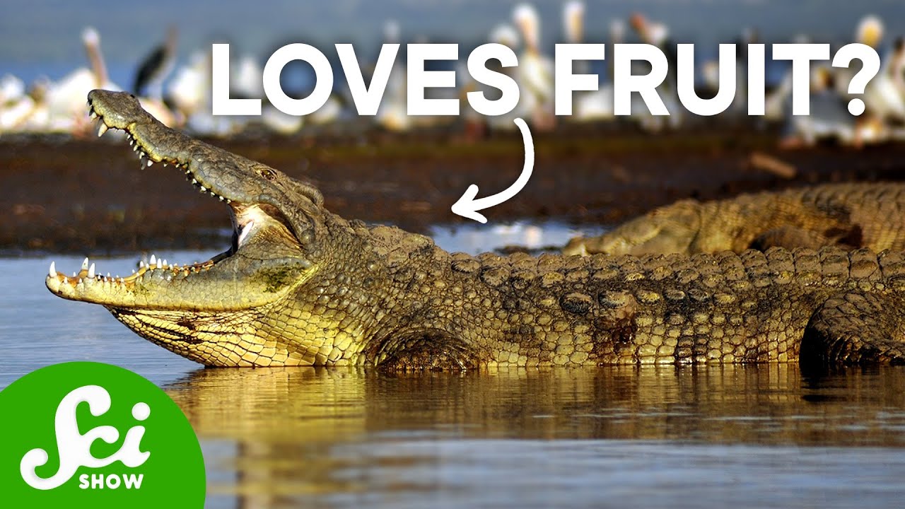6 Animals That Consume Bizarre Diets